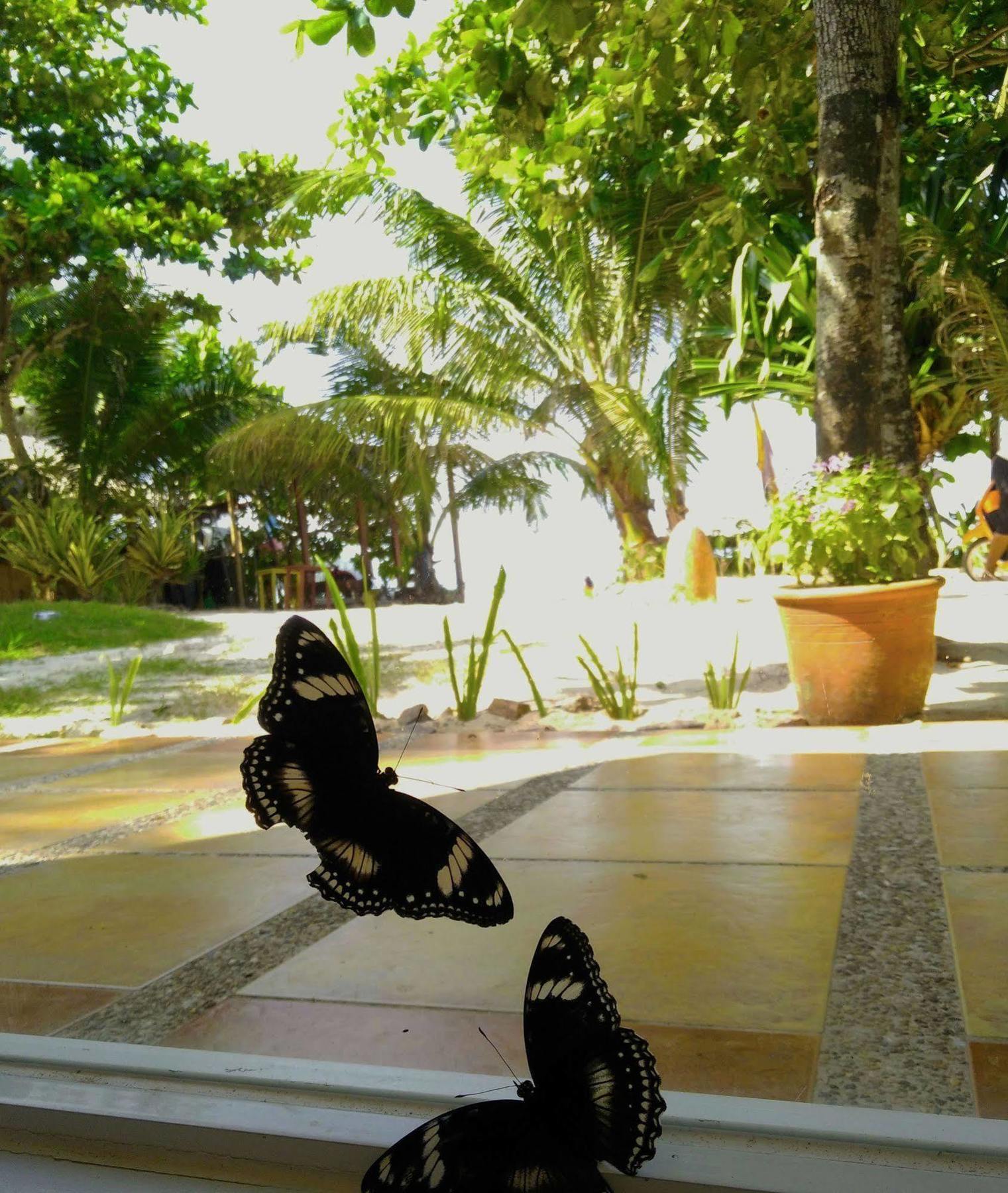 Aissatou Beach Resort Balabag  Exteriör bild